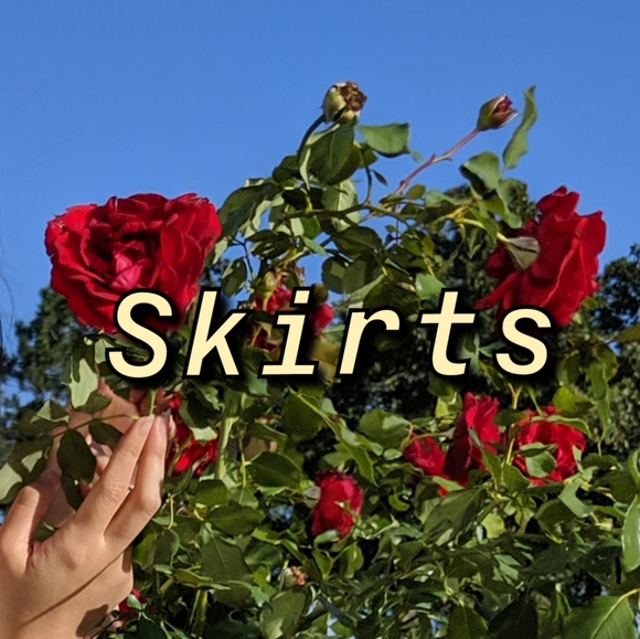 Skirts - Picture 1 of 1